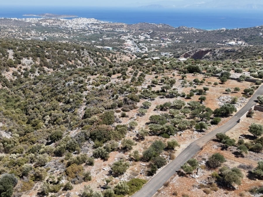 Investment land for sale with sea view in Aghios Nikolaos for sale 