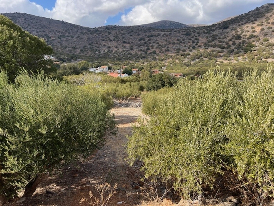 Plot of 438m2 for sale with sea view in Elounda 