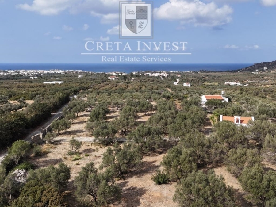 Land plot of 4.200m2 available for sale in Sisi - Lasithi 