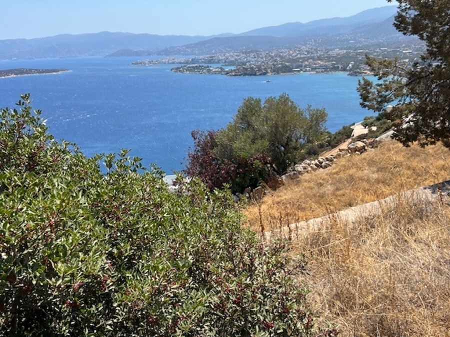 Building plot of 4.000m2 for sale in the area of Plevra, Aghios Nikolaos 